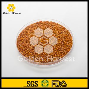 Camillia Pollen Camillia Bee Pollen